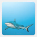Search for swimming fish stickers Animals in the wild