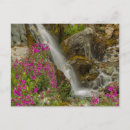 Search for national gallery postcards Cathy