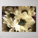 Search for chrysanthemums posters Floral