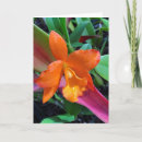 Search for cattleya cards Orchid