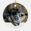 Search for farm animal christmas tree decorations Photograph