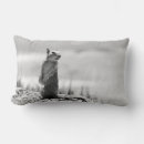 Search for black squirrel cushions Cute