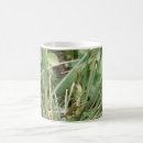Search for green grasshopper mugs Grasshoppers