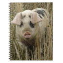 Search for spotty notebooks Animals