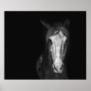Search for black and white horse art Rustic