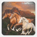 Search for arizona stickers New mexico