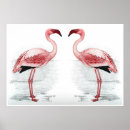Search for antique flamingo posters Flamingos