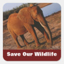 Search for elephant photo stickers Africa