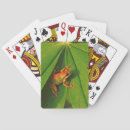 Search for adult playing cards Fauna