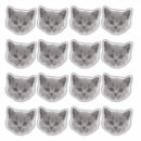 Search for cats and books stickers For pets