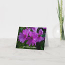 Search for mallow cards Floral