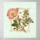 Search for shabby posters Botanical
