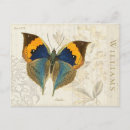 Search for ivory postcards Antique