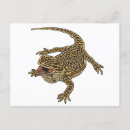 Search for for with beards postcards Beardie