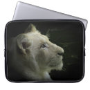 Search for big five electronics African animals