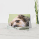Search for dog sayings cards Humour