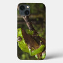 Search for smart frog Amphibian