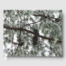 Search for pine tree guest books Winter