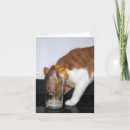 Search for cat in glasses cards Animal