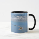 Search for alligator mugs Landscape