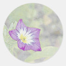 Search for morning glory stickers Garden