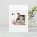 Search for cat meme invitations Funny