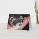 Search for silly photo cards Whimsical