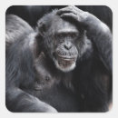 Search for primate stickers Funny