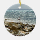 Search for coast christmas tree decorations Bird