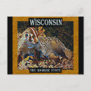 Search for wisconsin postcards Badger