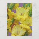 Search for gladiolus flowers cards Garden