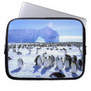 Search for penguin laptop cases Standing