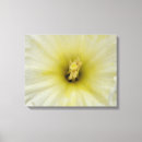 Search for pretty canvas prints White