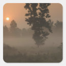 Search for fog stickers Ie