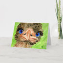 Search for ostrich cards Funny