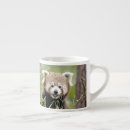Search for cute red panda mugs Animal