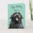 Search for newfoundland birthday cards Funny