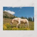 Search for hart postcards Meadow