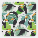 Search for toucan bird stickers Illustration