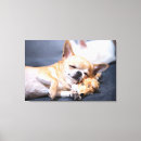 Search for chihuahua dog canvas prints Puppy
