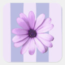 Search for soft purple stickers Cute