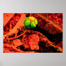 Search for mosquito posters Nature