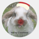 Search for snow bunny stickers Red