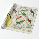 Search for bird of paradise wrapping paper Exotic
