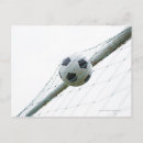 Search for hitting postcards Horizontal