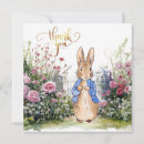 Search for animal characters cards Nature