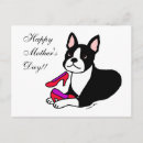 Search for boston terrier mothers day cards Pet