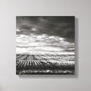 Search for corn photography Landscapes