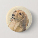 Search for hairy badges Dachshund