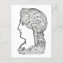 Search for connection postcards Brain